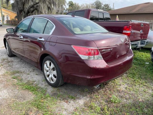 1HGCP36808A081399 - 2008 HONDA ACCORD EXL RED photo 3