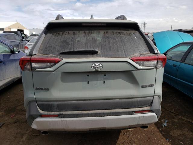 2T3J1RFV3KW050625 - 2019 TOYOTA RAV4 ADVENTURE GRAY photo 6