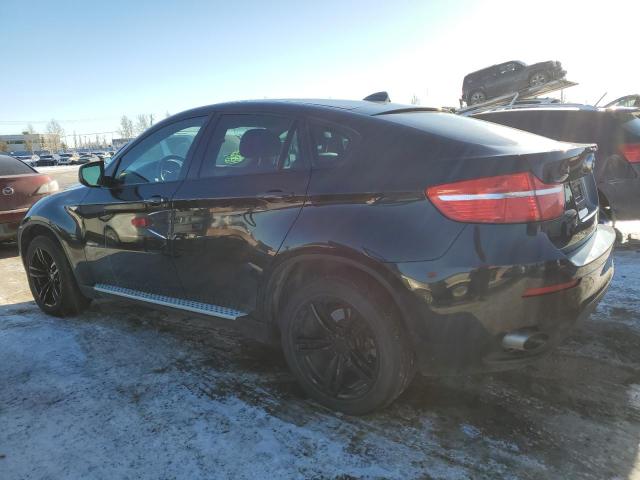 5UXFG2C57BLX05855 - 2011 BMW X6 XDRIVE35I BLACK photo 2