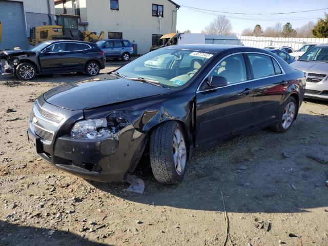 1G1ZG57B79F253147 - 2009 CHEVROLET MALIBU LS1 LS BLACK photo 1