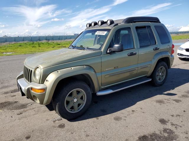 1J4GK38KX3W524087 - 2003 JEEP LIBERTY RENEGADE GREEN photo 1