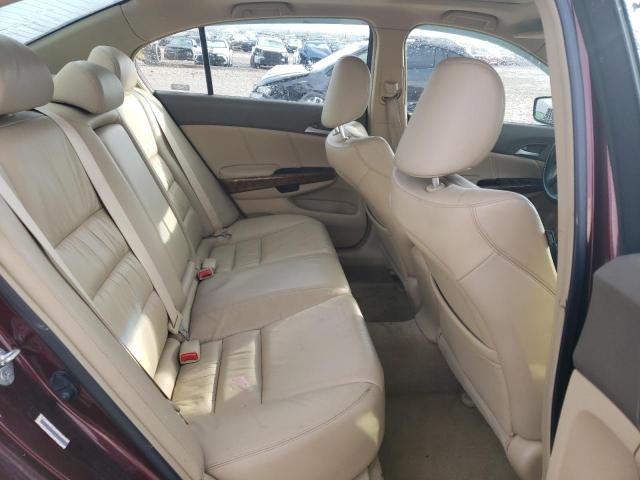 JHMCP26888C019745 - 2008 HONDA ACCORD EXL BURGUNDY photo 10