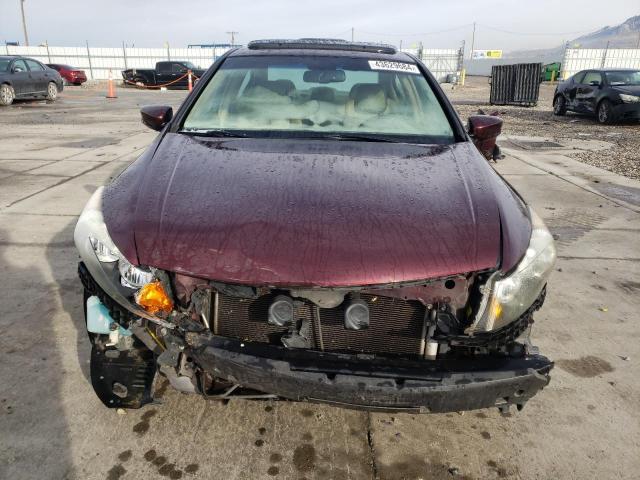 JHMCP26888C019745 - 2008 HONDA ACCORD EXL BURGUNDY photo 5