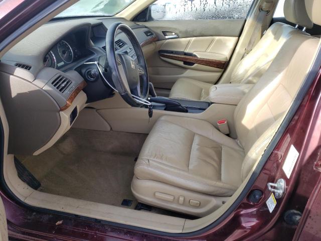 JHMCP26888C019745 - 2008 HONDA ACCORD EXL BURGUNDY photo 7