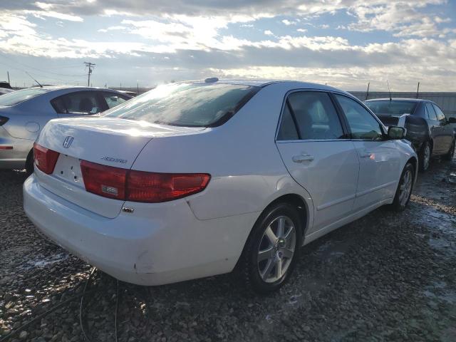 1HGCM66505A070060 - 2005 HONDA ACCORD EX WHITE photo 3