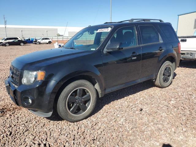 2012 FORD ESCAPE XLT, 