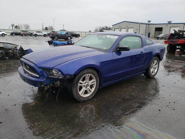 1ZVBP8AM6E5251598 - 2014 FORD MUSTANG BLUE photo 1