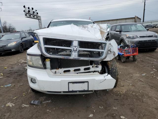 1D7CW2BK8AS199557 - 2010 DODGE DAKOTA ST WHITE photo 5