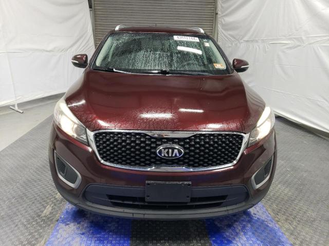 5XYPG4A34HG254200 - 2017 KIA SORENTO LX BURGUNDY photo 5