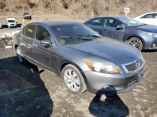 1HGCP36828A028381 - 2008 HONDA ACCORD EXL GRAY photo 4