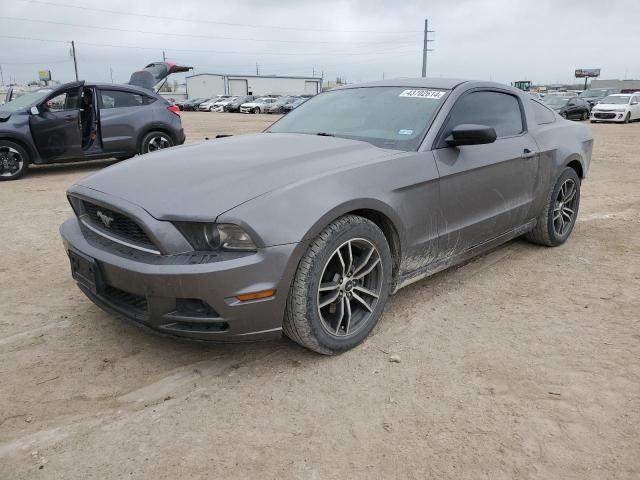 1ZVBP8AM2D5202431 - 2013 FORD MUSTANG GRAY photo 1
