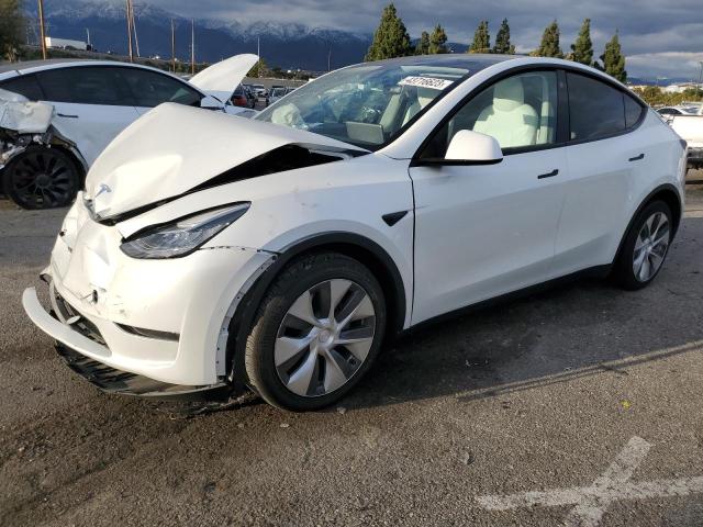 5YJYGAEE5MF216149 - 2021 TESLA MODEL Y WHITE photo 1