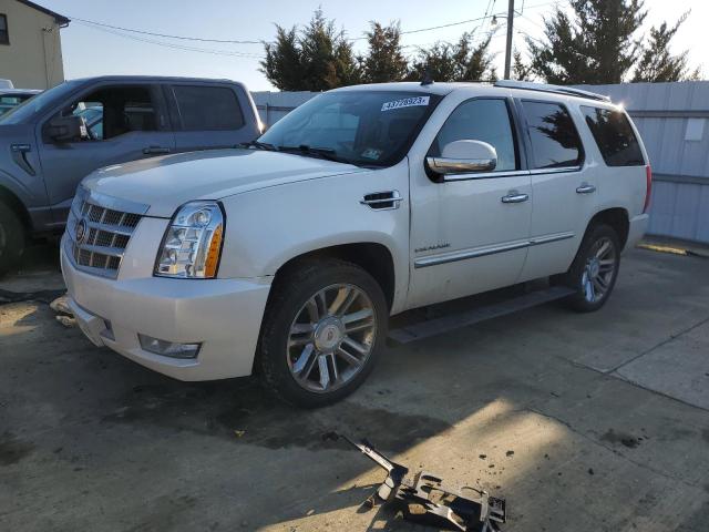 1GYS4DEF0DR265627 - 2013 CADILLAC ESCALADE PLATINUM WHITE photo 1