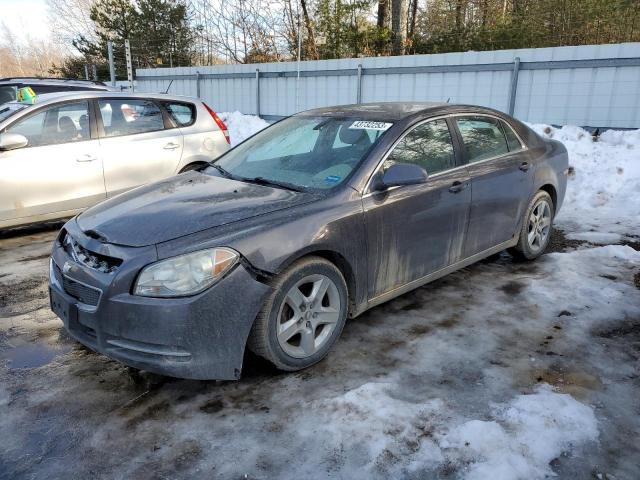 1G1ZC5EB2AF263331 - 2010 CHEVROLET MALIBU 1LT GRAY photo 1