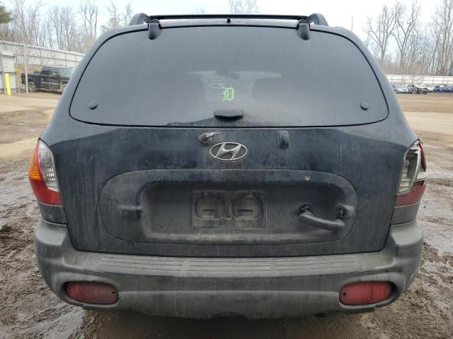 KM8SC73D03U502295 - 2003 HYUNDAI SANTA FE GLS BLACK photo 6