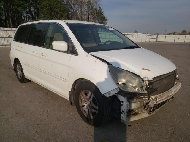 5FNRL38475B404560 - 2005 HONDA ODYSSEY EX WHITE photo 4