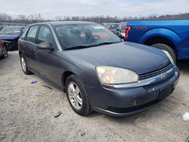 1G1ZT62845F298571 - 2005 CHEVROLET MALIBU MAXX LS GRAY photo 4