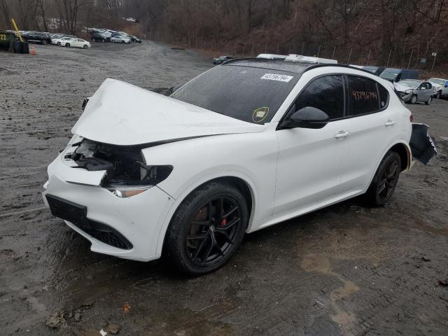 ZASPAKBN1M7D12297 - 2021 ALFA ROMEO STELVIO TI თეთრი ფოტო 1