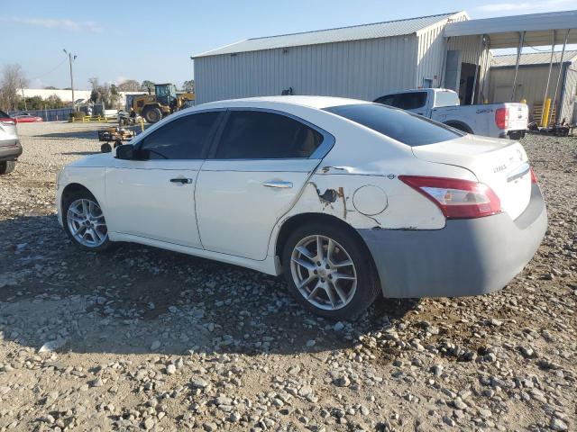 1N4AA5AP6BC821623 - 2011 NISSAN MAXIMA S WHITE photo 2