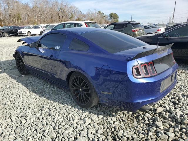 1ZVBP8AM3D5240430 - 2013 FORD MUSTANG BLUE photo 2