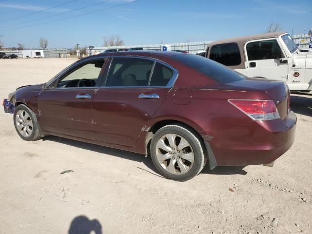 5KBCP3F81AB017661 - 2010 HONDA ACCORD EXL MAROON photo 2