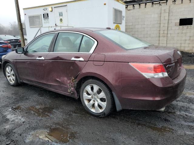 5KBCP3F88AB018919 - 2010 HONDA ACCORD EXL BURGUNDY photo 2