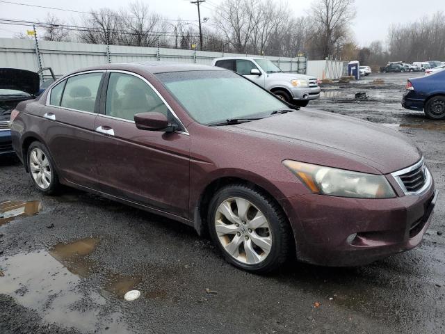 5KBCP3F88AB018919 - 2010 HONDA ACCORD EXL BURGUNDY photo 4