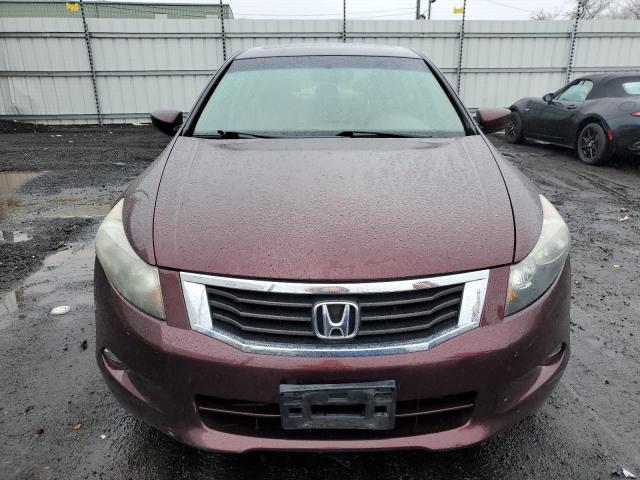 5KBCP3F88AB018919 - 2010 HONDA ACCORD EXL BURGUNDY photo 5