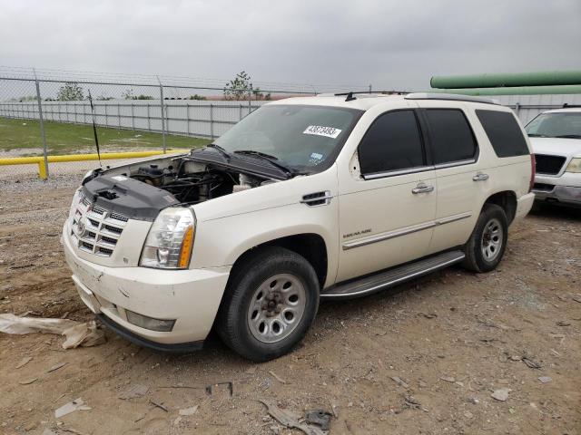 1GYS4BEFXBR264339 - 2011 CADILLAC ESCALADE LUXURY BEIGE photo 1