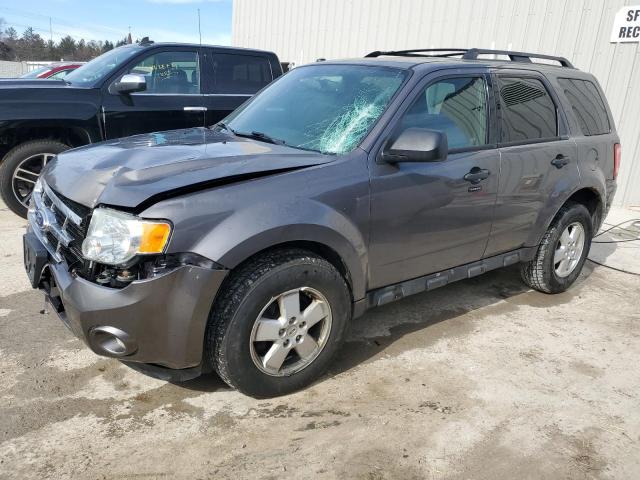 2011 FORD ESCAPE XLT, 