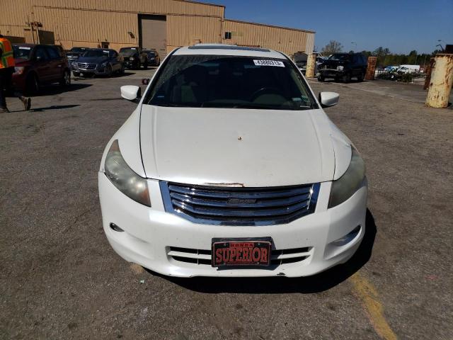 5KBCP36869B002696 - 2009 HONDA ACCORD EXL WHITE photo 5