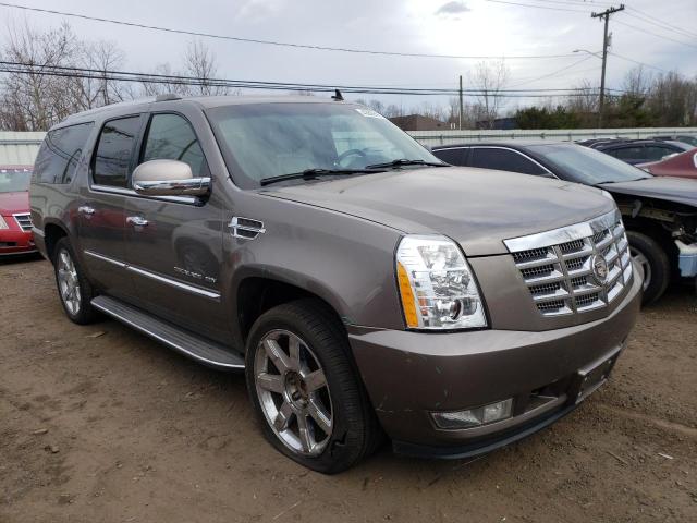 1GYS4HEF6BR393021 - 2011 CADILLAC ESCALADE ESV LUXURY BROWN photo 4