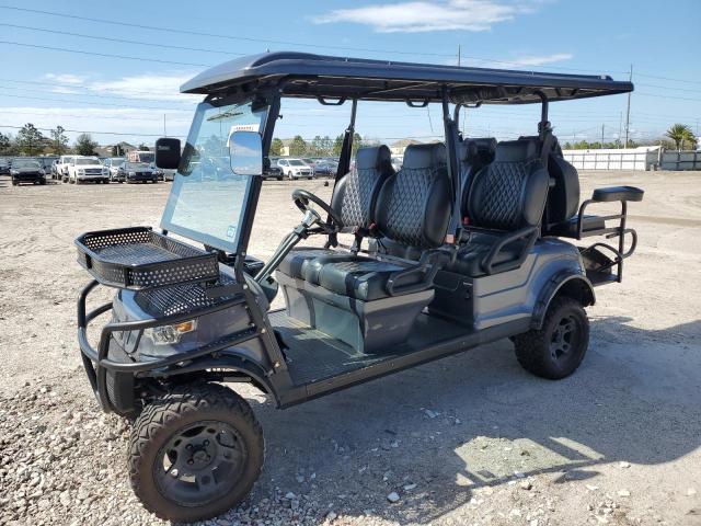 FLA116466 - 2021 ASPT GOLF CART GRAY photo 2