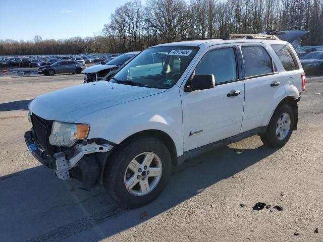 1FMCU59399KA11894 - 2009 FORD ESCAPE HYBRID WHITE photo 1