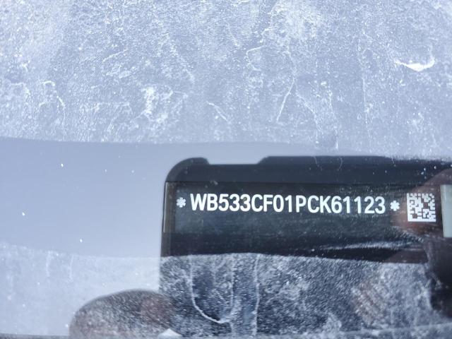 WB533CF01PCK61123 - 2023 BMW IX M60 WHITE photo 13