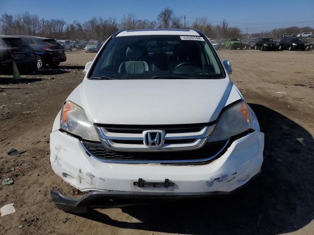 JHLRE4H78AC012773 - 2010 HONDA CR-V EXL WHITE photo 5