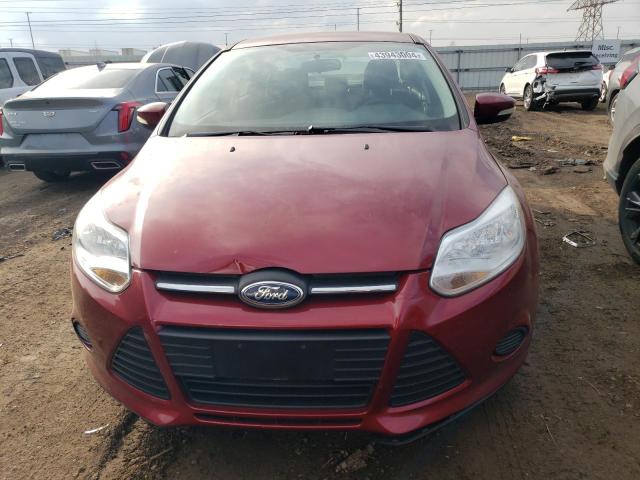 1FADP3F21DL241969 - 2013 FORD FOCUS SE RED photo 5