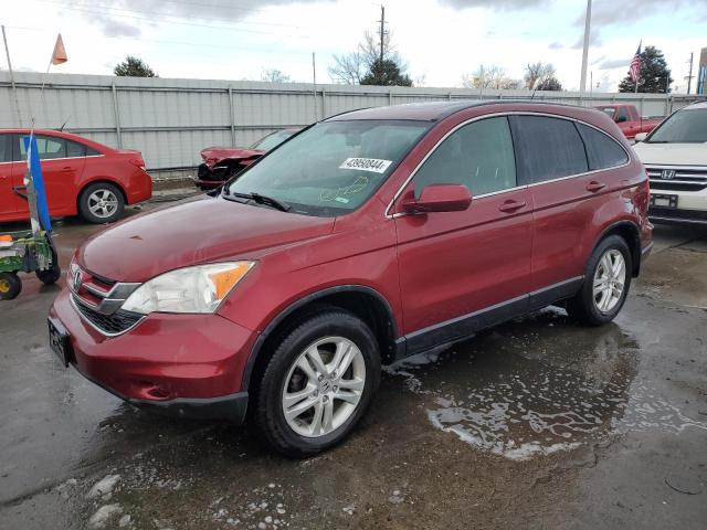 JHLRE4H74AC008848 - 2010 HONDA CR-V EXL BURGUNDY photo 1