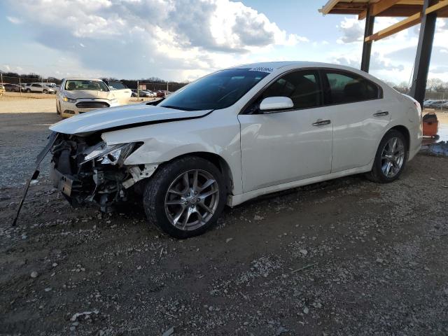 1N4AA51E69C848099 - 2009 NISSAN MAXIMA S WHITE photo 1