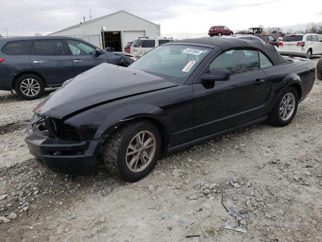 1ZVHT84N155250238 - 2005 FORD MUSTANG BLACK photo 1