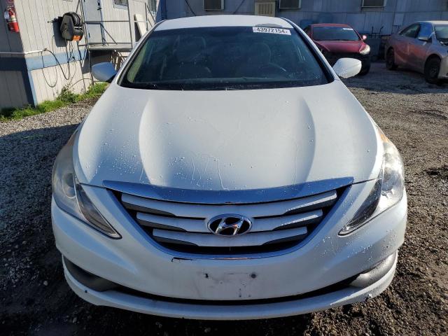 5NPEB4ACXEH904979 - 2014 HYUNDAI SONATA GLS WHITE photo 5