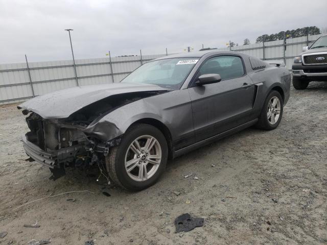 1ZVBP8AM3D5235325 - 2013 FORD MUSTANG GRAY photo 1