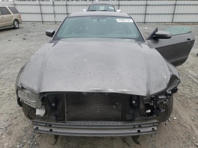 1ZVBP8AM3D5235325 - 2013 FORD MUSTANG GRAY photo 11