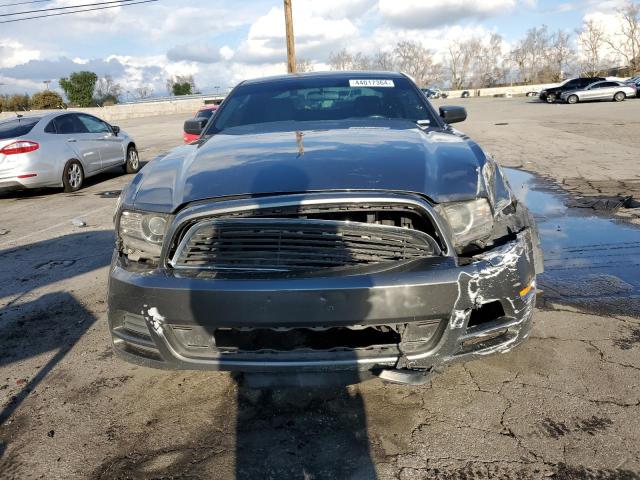 1ZVBP8AM8D5224174 - 2013 FORD MUSTANG GRAY photo 5