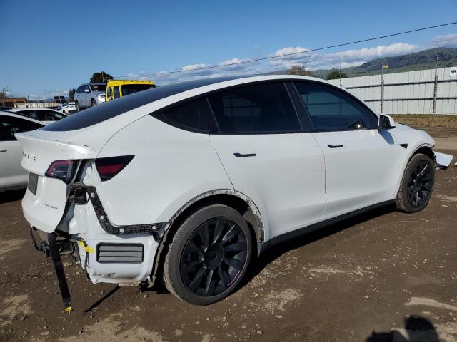 5YJYGDEE4MF212904 - 2021 TESLA MODEL Y WHITE photo 3