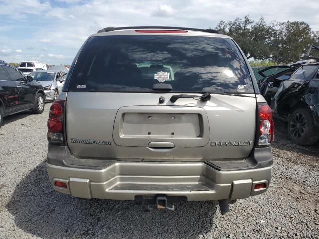 1GNDS13S222509309 - 2002 CHEVROLET TRAILBLAZE BEIGE photo 6