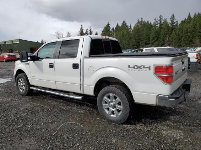 1FTFW1ET2EKD81847 - 2014 FORD F150 SUPERCREW WHITE photo 2