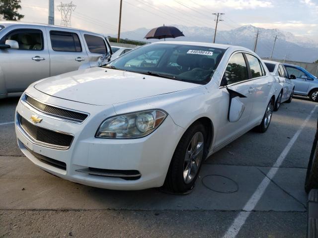 1G1ZC5EB5AF186891 - 2010 CHEVROLET MALIBU 1LT WHITE photo 1