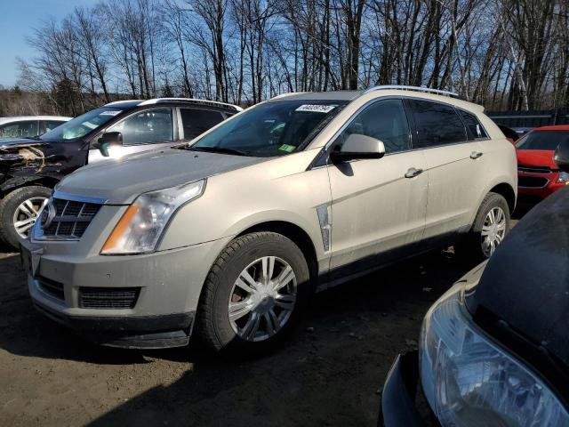 3GYFNDEY5AS646429 - 2010 CADILLAC SRX LUXURY COLLECTION GOLD photo 1