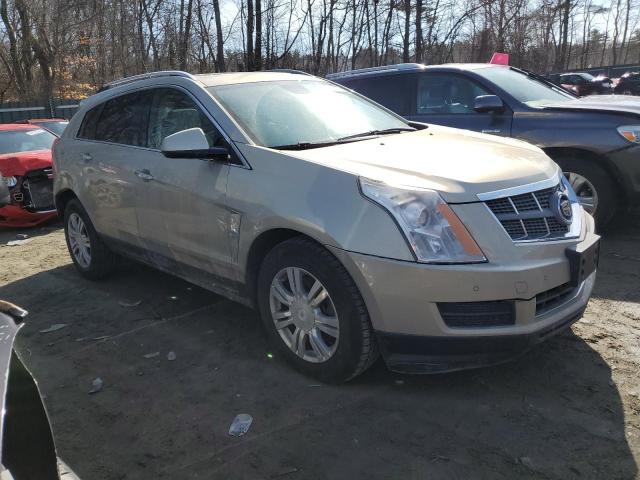 3GYFNDEY5AS646429 - 2010 CADILLAC SRX LUXURY COLLECTION GOLD photo 4